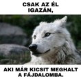 /album/kepgaleria-en/3861537386873478f30e4b610ce14251-jpg/