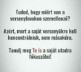 /album/kepgaleria-en/a0a79bc9c0fd956c4f320484107d12e8-jpg/