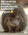 /album/kepgaleria-en/a267b314a9e777cde2bba6fe099f7e18-jpg/