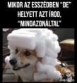/album/kepgaleria-en/932865d8084f77fe0c2b54fe5eeecfe7-jpg/