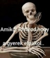 /album/kepgaleria-en/ab4a41e6e98099732a40ea560fa83236-jpg/