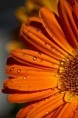 /album/kepgaleria-en/b44bc69aa1c54bc04c09378044eebc22-jpg/
