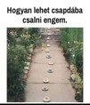 /album/kepgaleria-en/c6215ee15b417ea4c708b1ee2c9dc513-jpg/