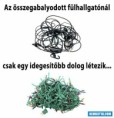 /album/kepgaleria-en/d050b839d34d949349ca027348acb72f-jpg/