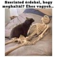 /album/kepgaleria-en/db5f90e532ecf0702ef73deaa2e6dcfc-jpg/