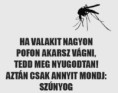 /album/kepgaleria-en/dcb7e7f10143ae1f1e6a009a90198919-jpg/
