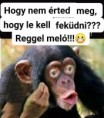 /album/kepgaleria-en/e0d02413a0b9d02dbe003370644f7357-jpg/