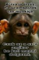 /album/kepgaleria-en/e8c76b7d33fe9252c80c6c4c6419d878-jpg/